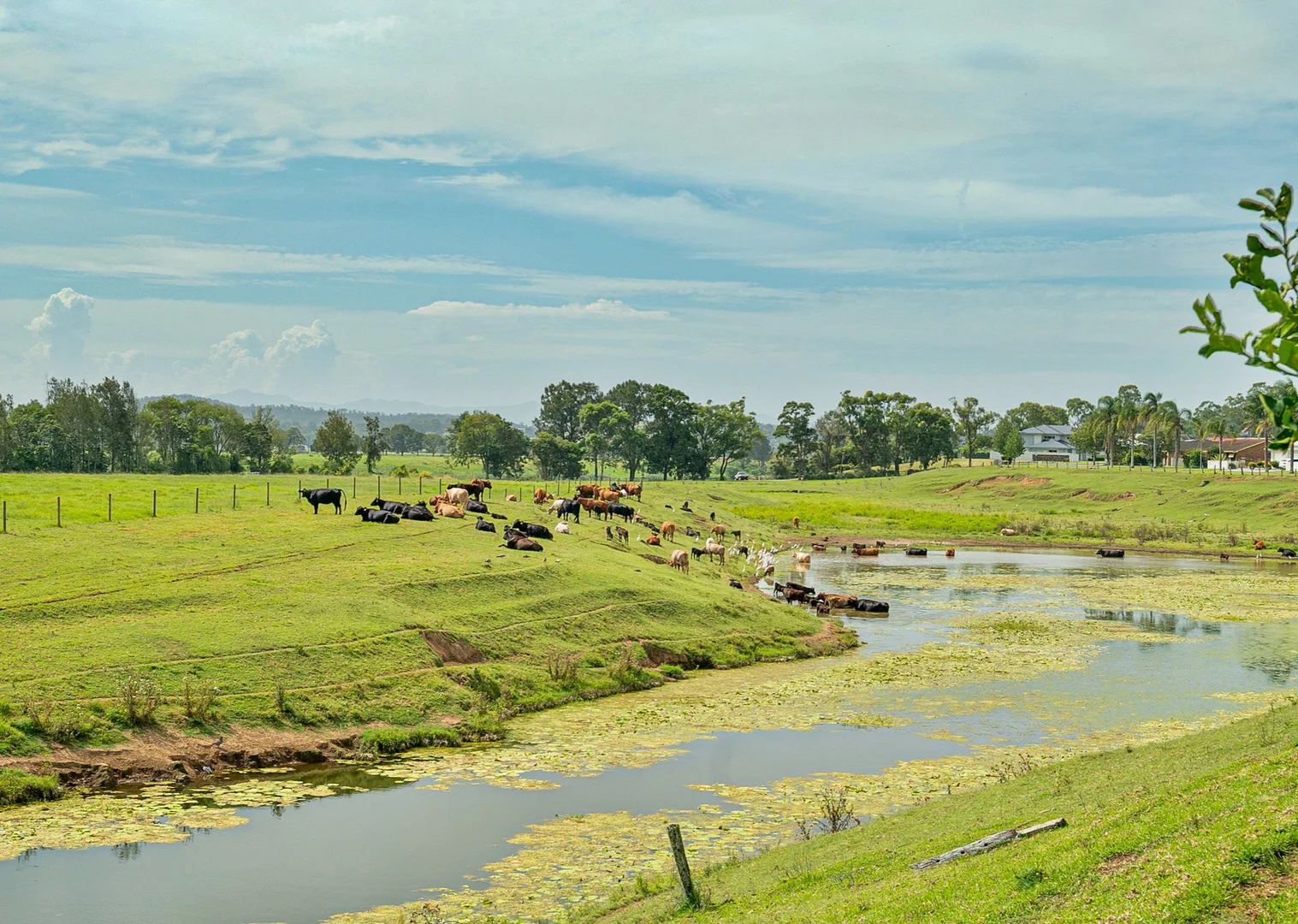 Additional image 13 of 23 Petken Drive, Taree NSW 2430