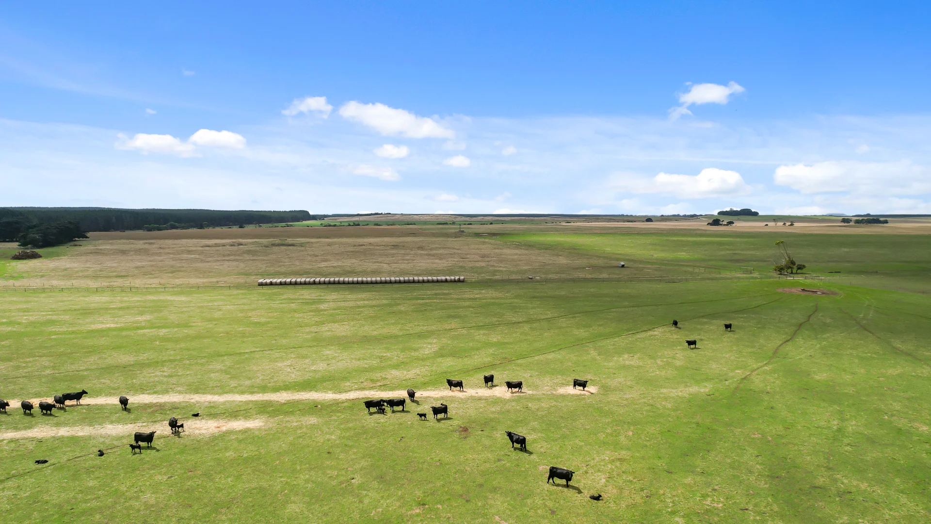 Additional image 4 of 603 Blackfellows Caves Road, Kongorong SA 5291