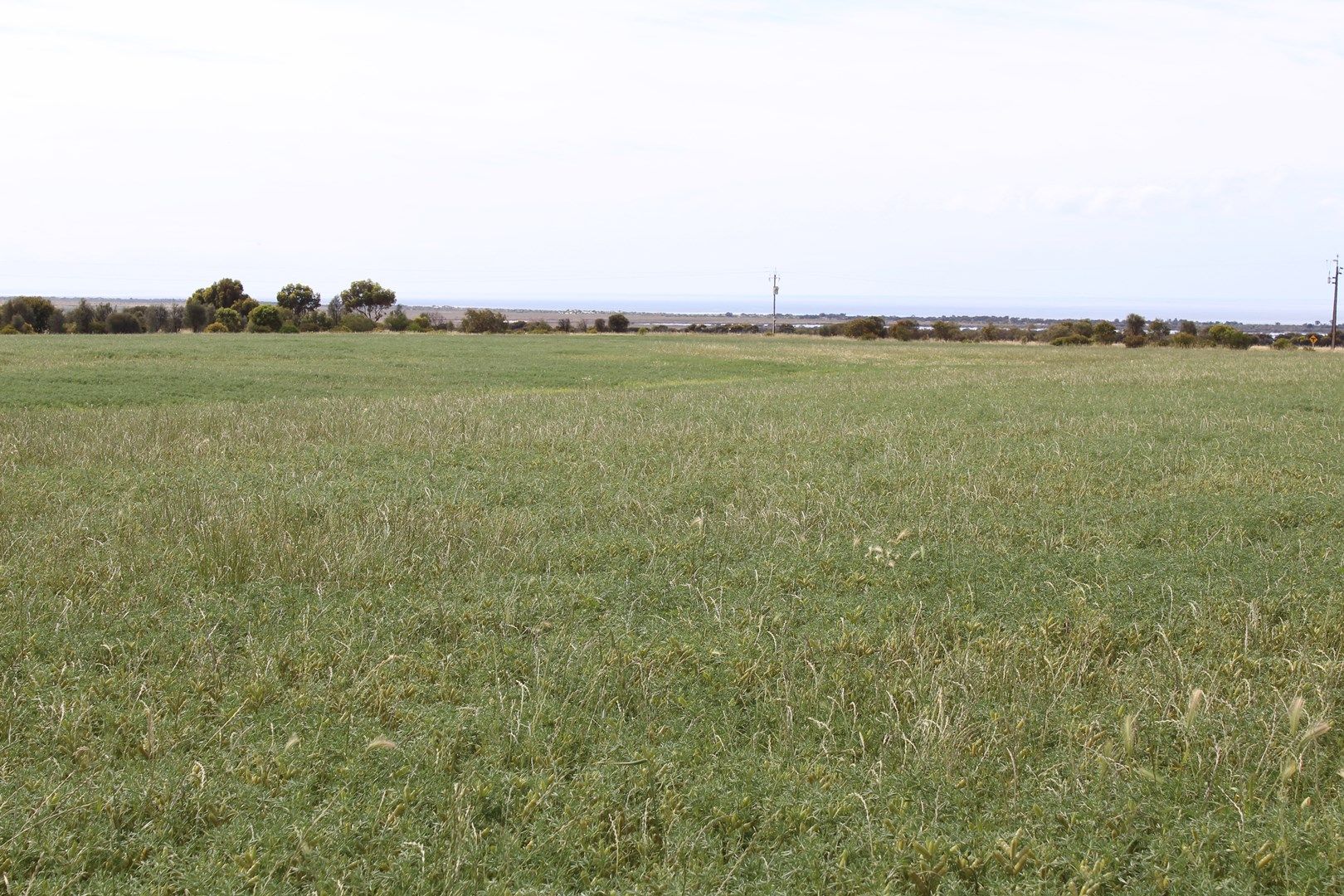 Allotment 4 Bawdens Road, Tumby Bay SA 5605, Image 0