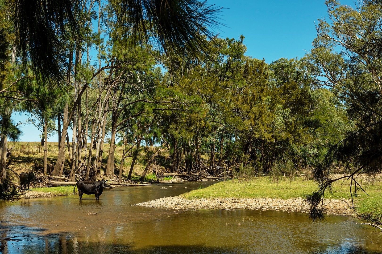 215 Wrights Lane, Gulgong NSW 2852, Image 0