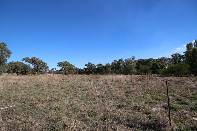 Picture of 3005 Sturt Highway, ALFREDTOWN NSW 2650