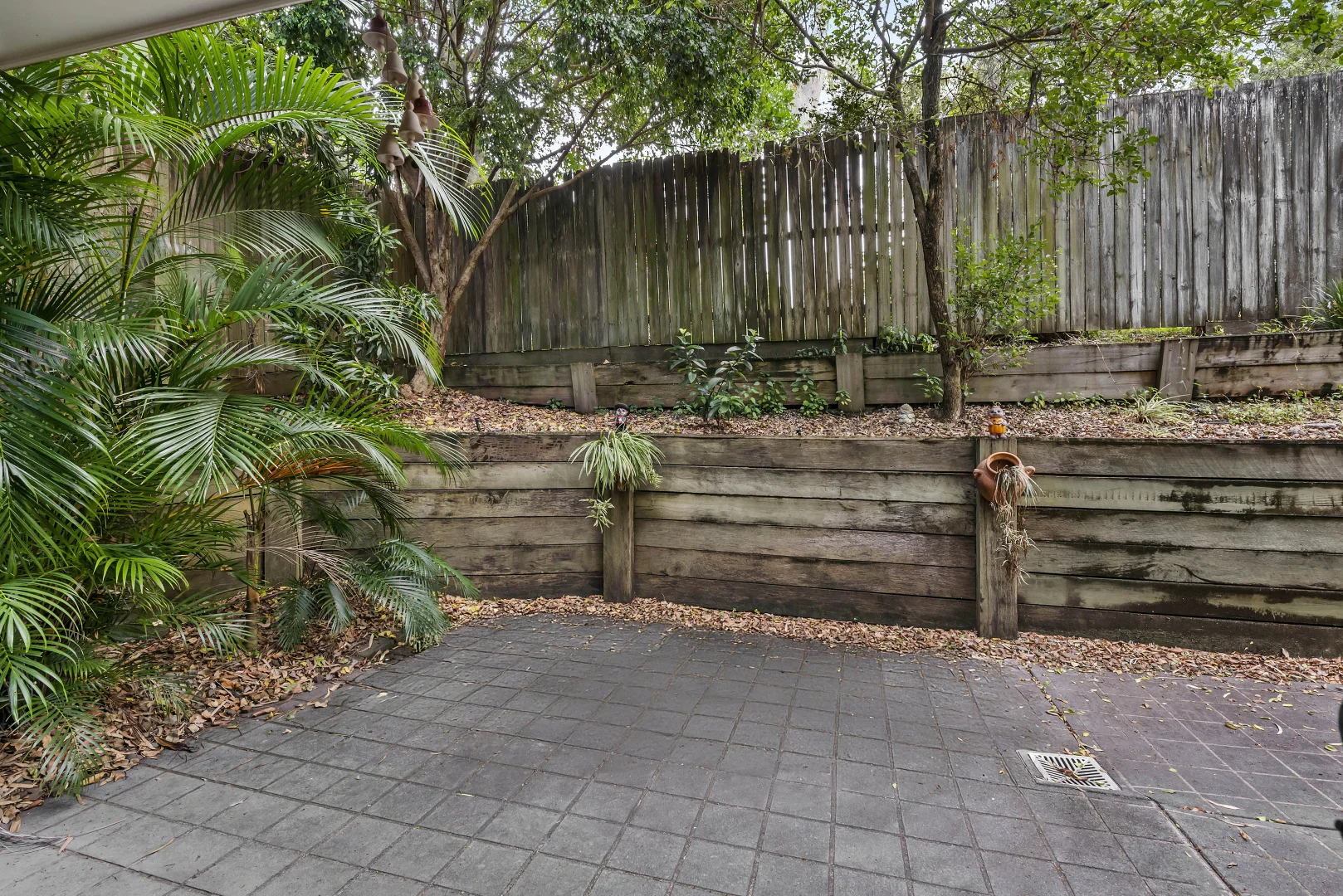 Image 15
