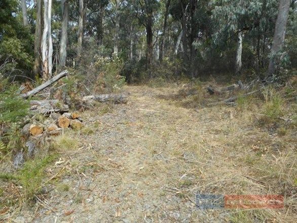 Lot 3 Alta Villa Road, Batlow NSW 2730, Image 2