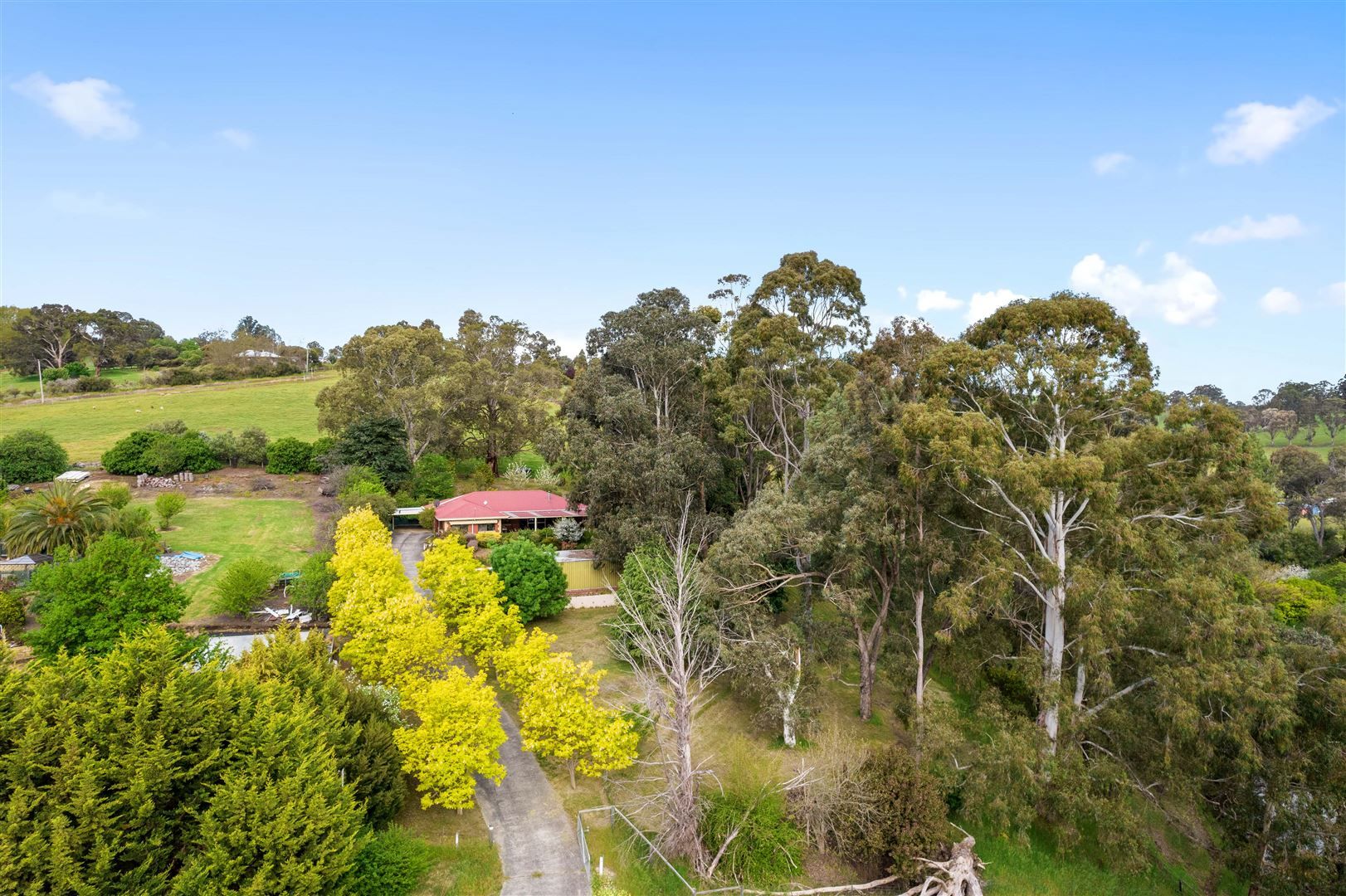 59 De Lisle Street, Balingup WA 6253, Image 1