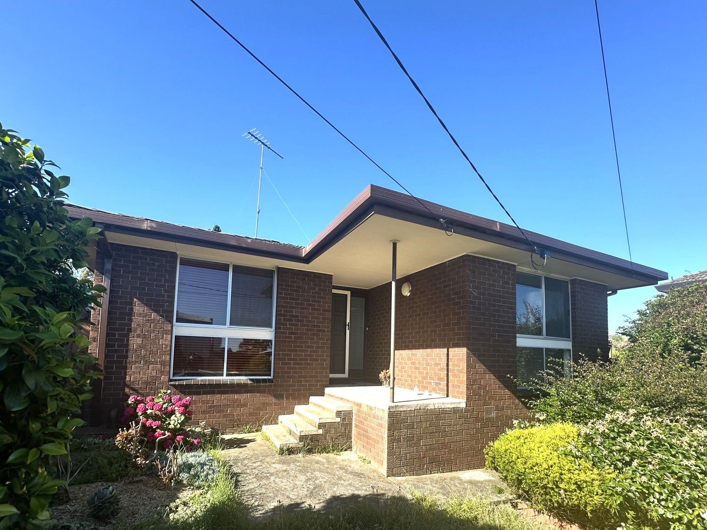 36 Lambhill Crescent Highton Vic 3216 House For Rent Domain