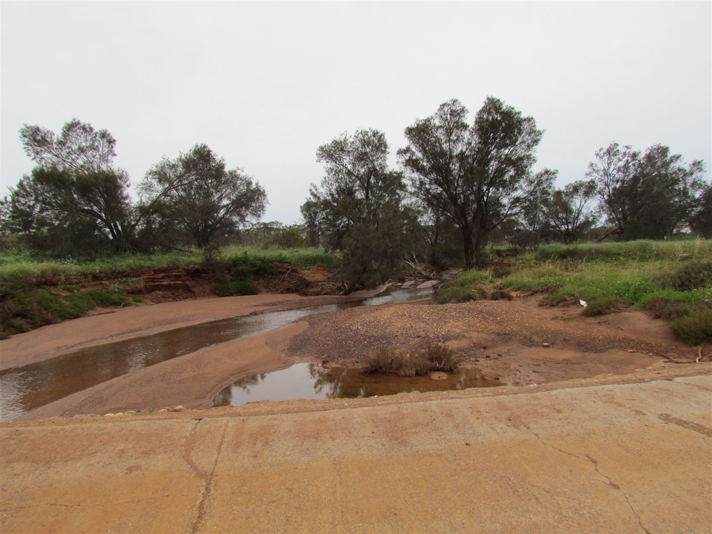905 Wongoondy Tardun Road, Mullewa WA 6630 Farm for Sale Domain