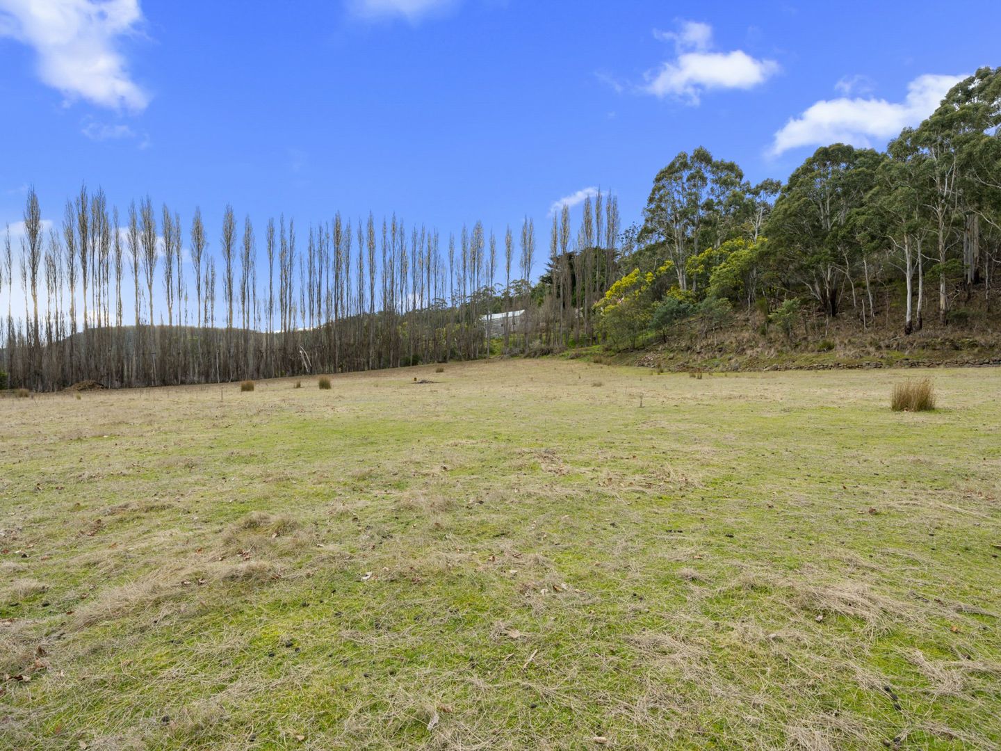 720 Molesworth Road, Molesworth TAS 7140, Image 2