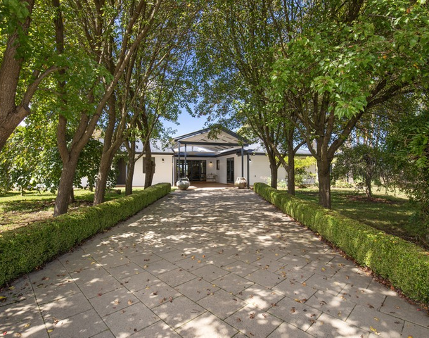 443 Toms Gully Road, Black Mountain NSW 2365