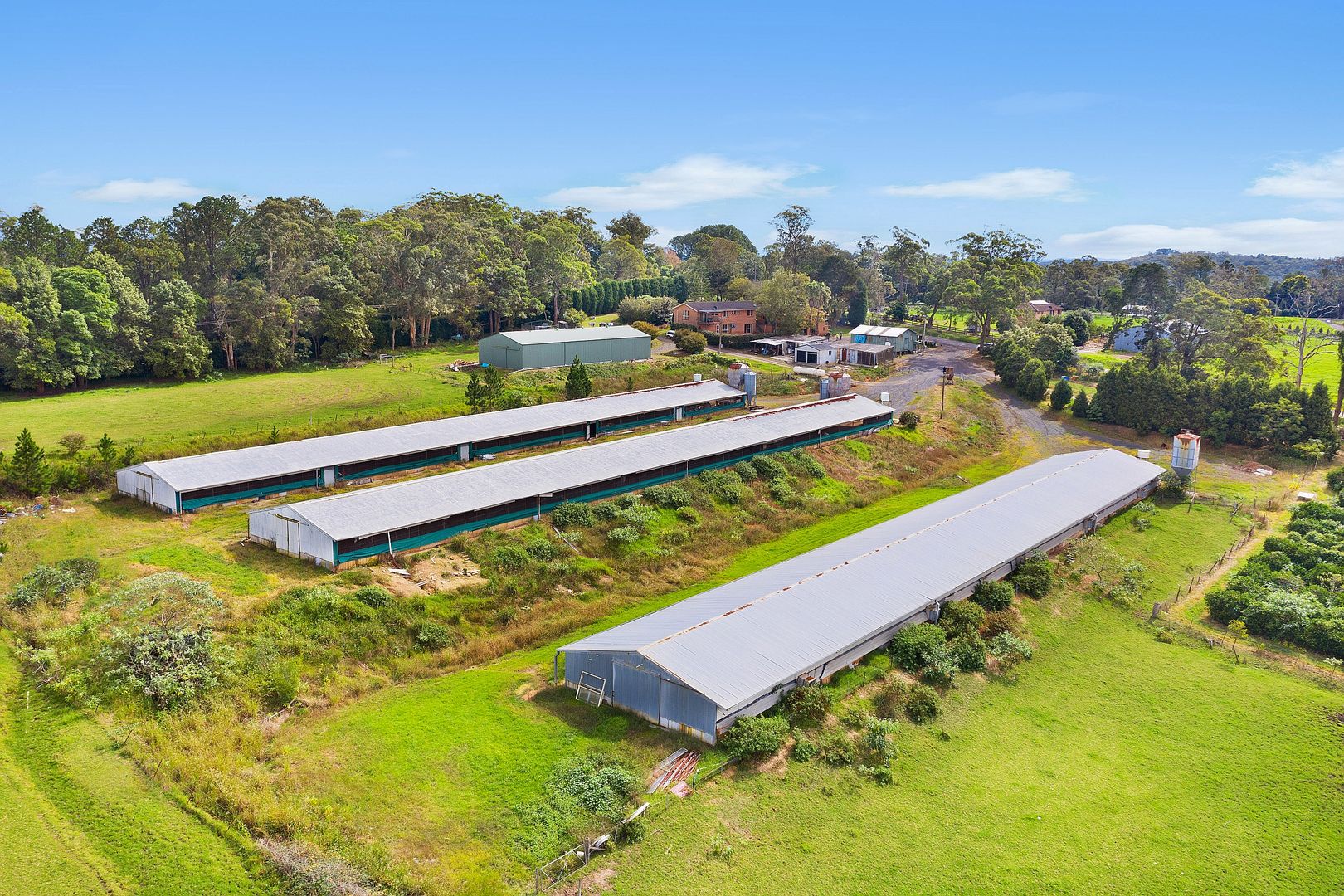 10 Lillicrapps Road, Mangrove Mountain NSW 2250, Image 2