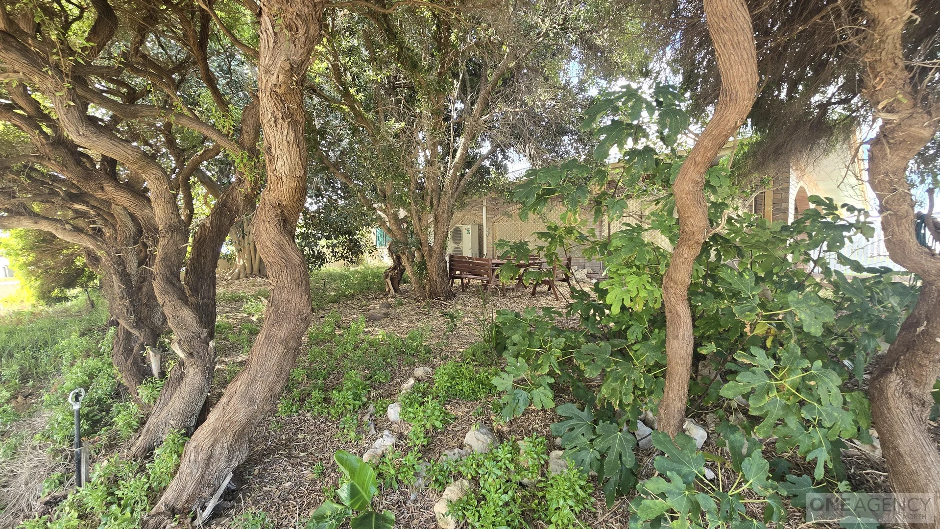 Additional image 27 of 1 Bentley Street, Singleton WA 6175