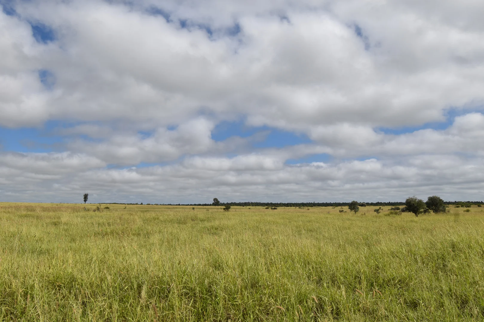 Additional image 12 of 5074 Alpha Tambo Road, Alpha QLD 4724