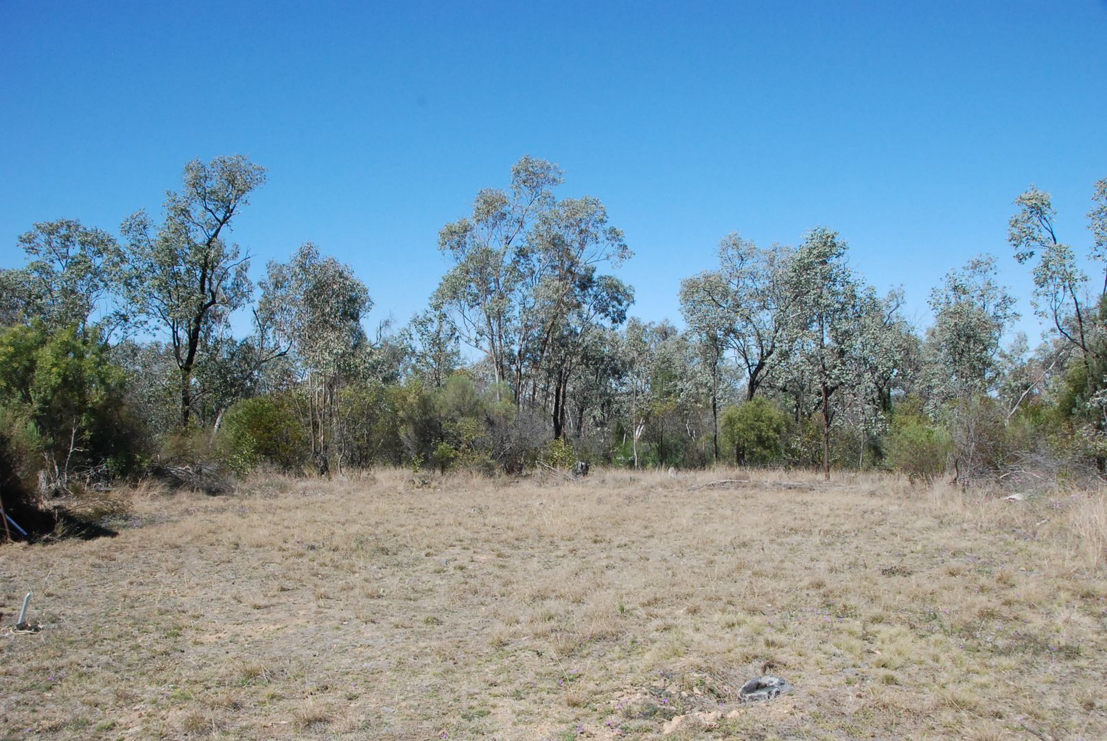 546 WAVERLEY Lane, Silver Spur QLD 4385 House for Sale 335,000