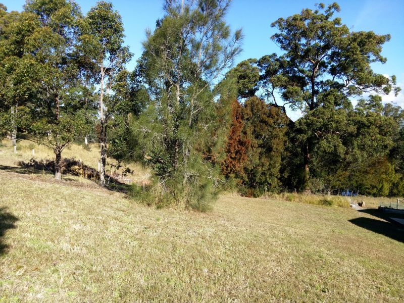 5 The Bridle Path, Tallwoods Village NSW 2430, Image 1