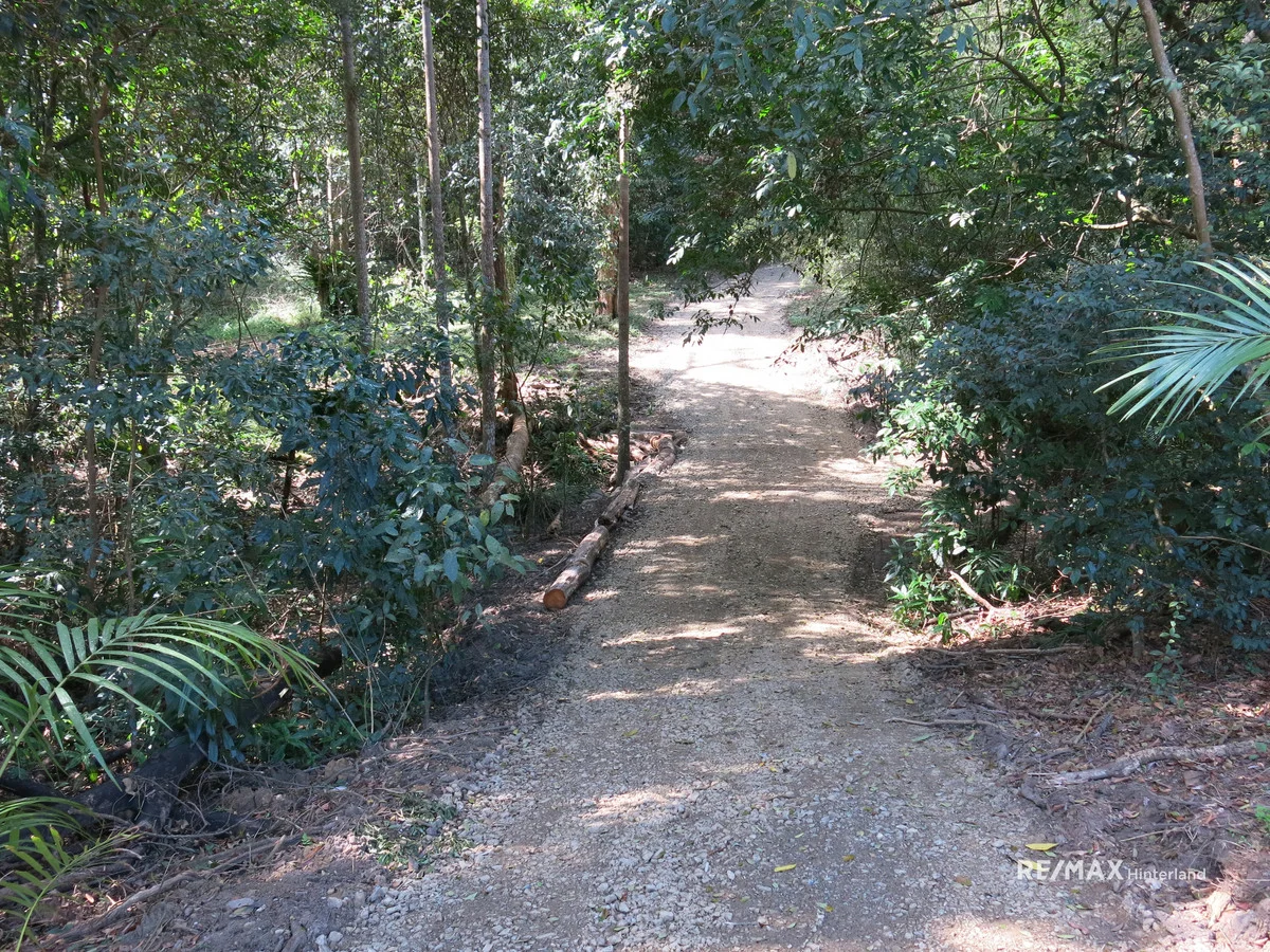 Additional image 6 of 211 Bridge Creek Road, Maleny QLD 4552