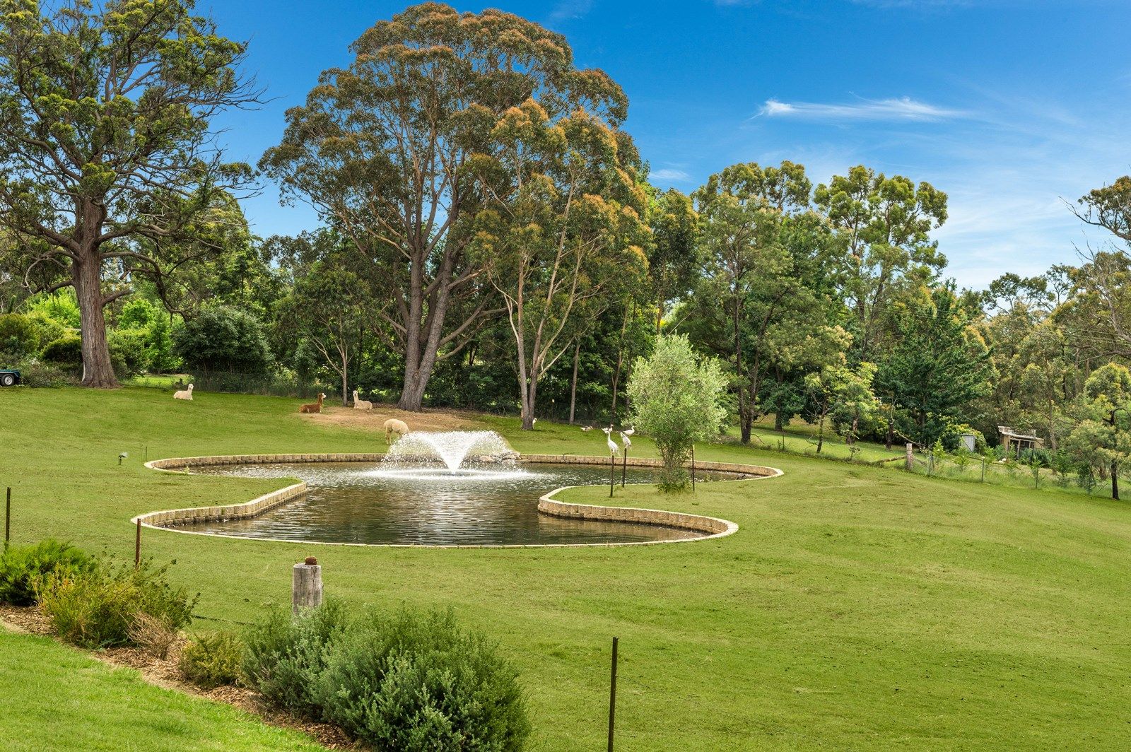 7 Berrima Drive, Berrima NSW 2577, Image 2