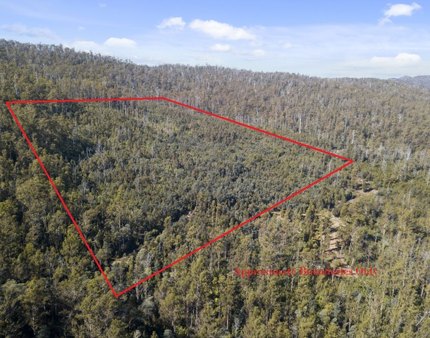 430 Braslins Road, Black Hills TAS 7140