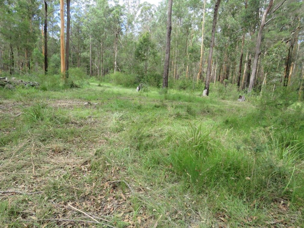 Lot 2 of 14 Ravenswood Road, Kundabung NSW 2441, Image 1