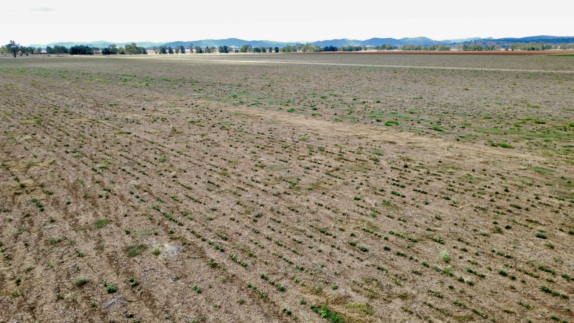 Additional image 5 of "Paisley" 1009 Waverley Road, Quirindi NSW 2343