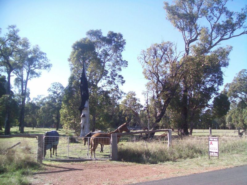 Lot 45 Steere Road, Allanson WA 6225, Image 1