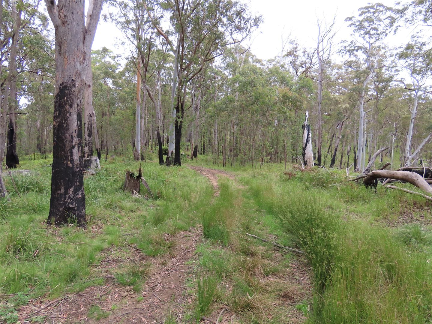'Lands End/1600 Lands End Road, Red Range NSW 2370, Image 2