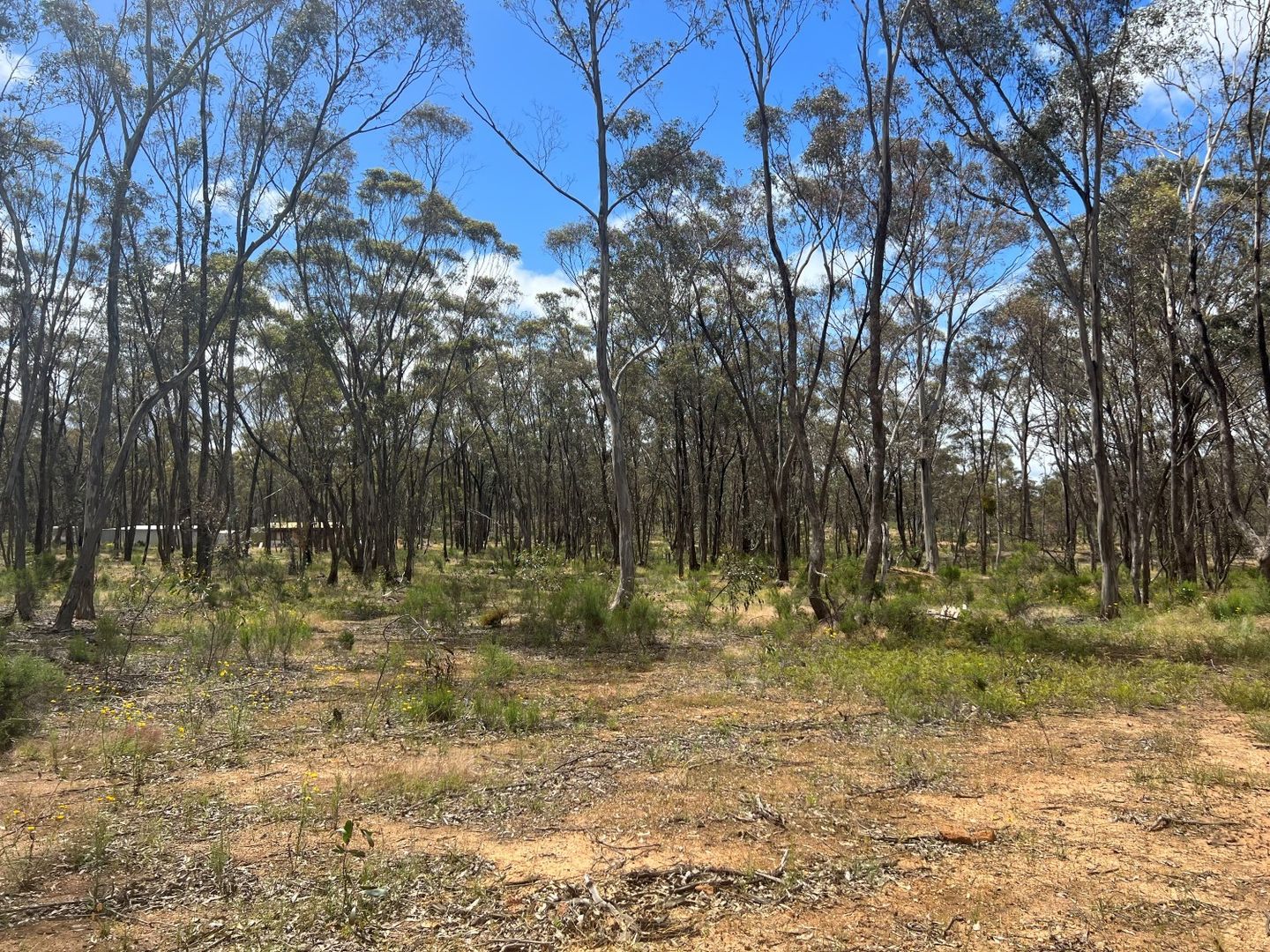 56 Calder Court, Moonlight Flat VIC 3465 Domain