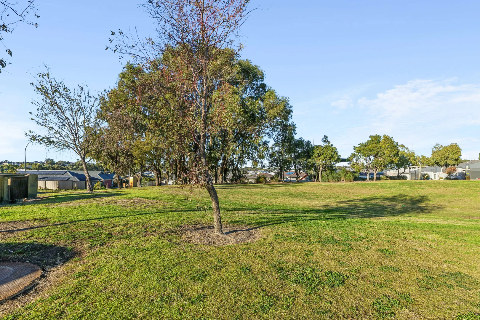 Image 15