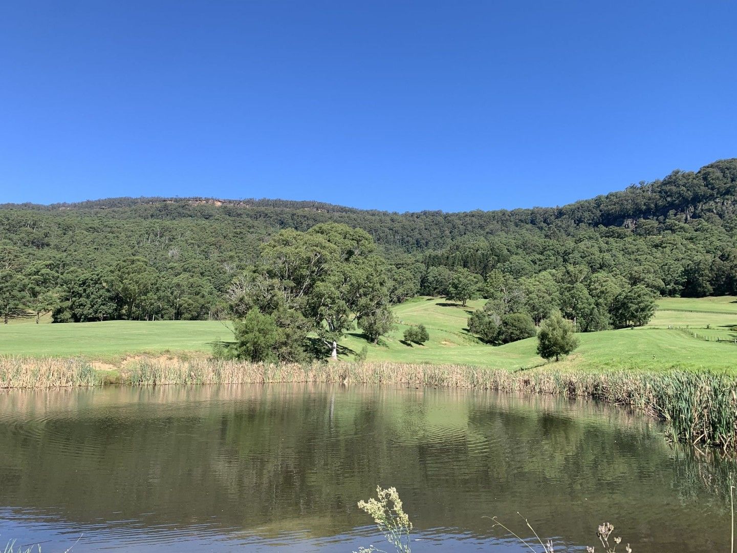 Lot 4 Marden Lane, Kangaroo Valley NSW 2577, Image 1