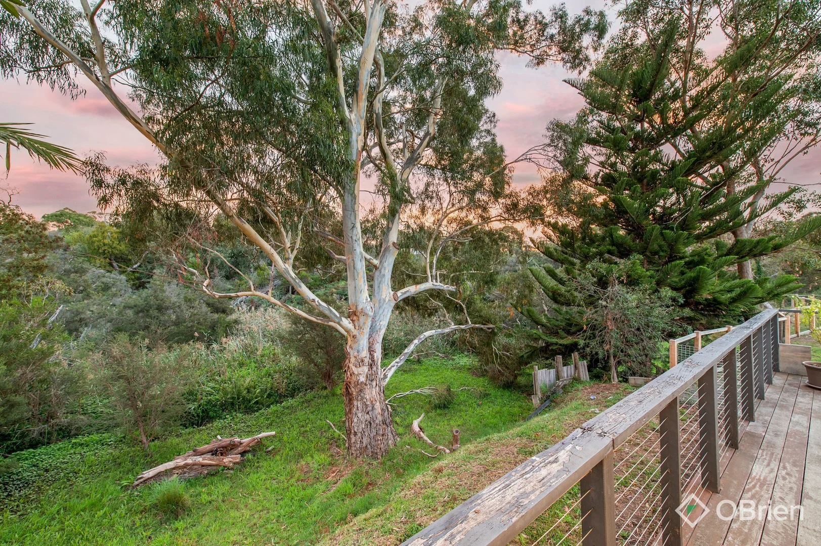 Additional image 16 of 99 Sycamore Road, Frankston South VIC 3199