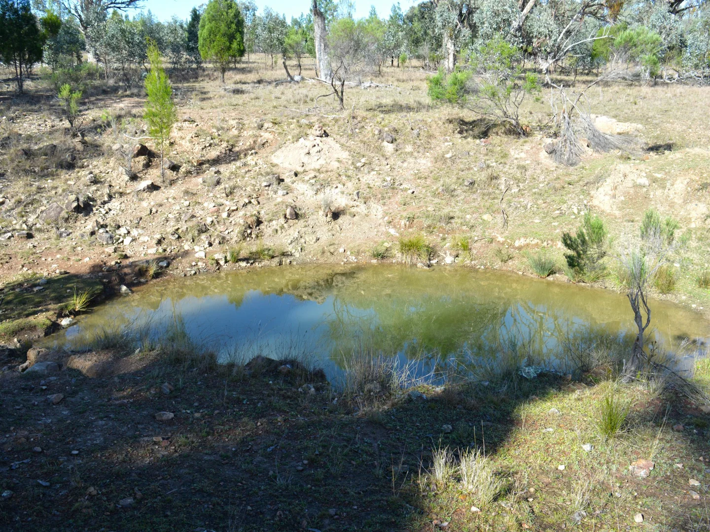 Additional image 17 of Lot 1 Hollybank Road, Inglewood QLD 4387