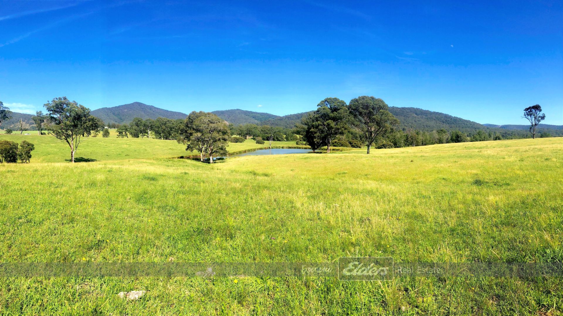 276 Gloucester Tops Road, Faulkland NSW 2422