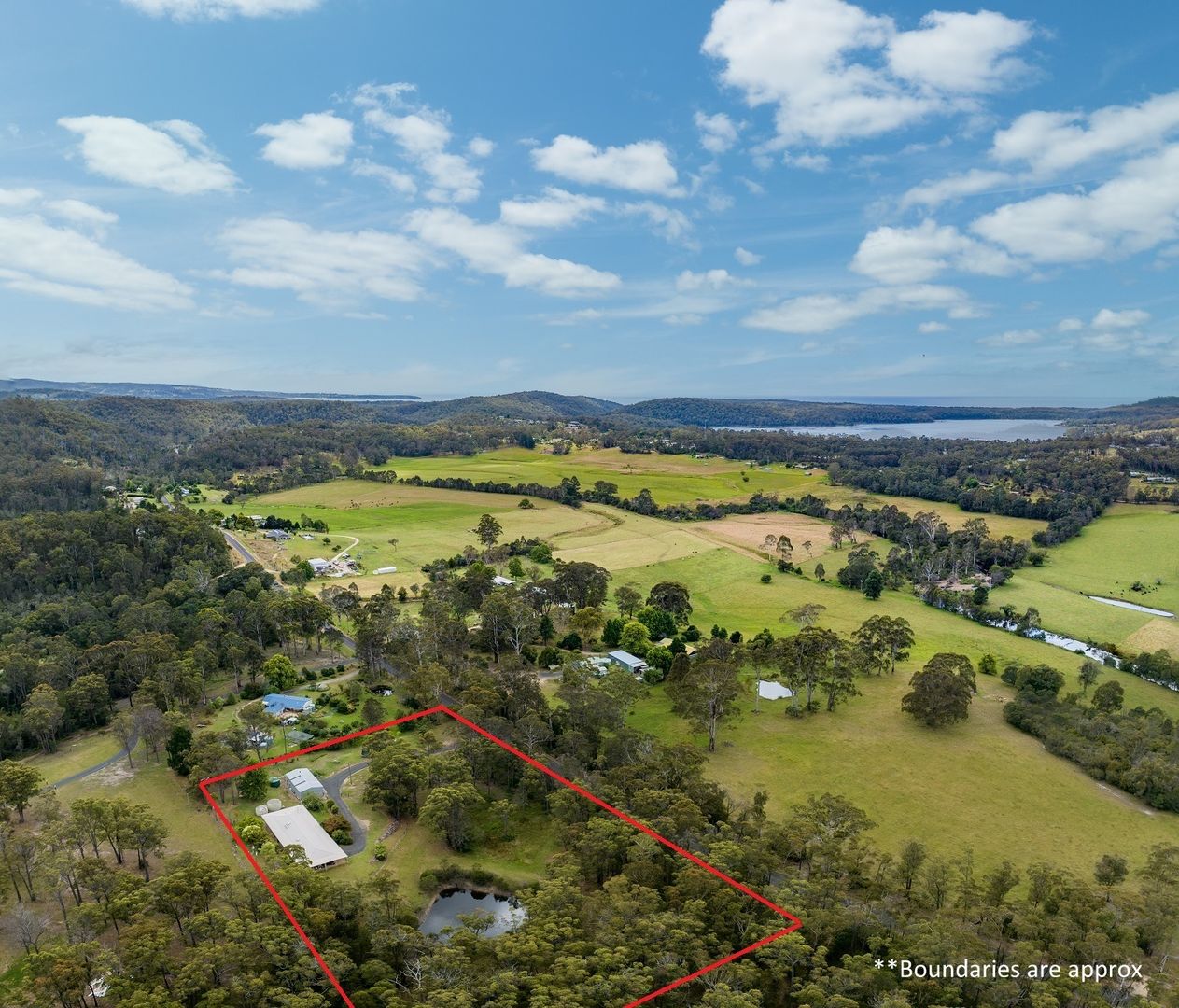 1559 Nethercote Rd, GRIEGS FLAT Via, Pambula NSW 2549, Image 1