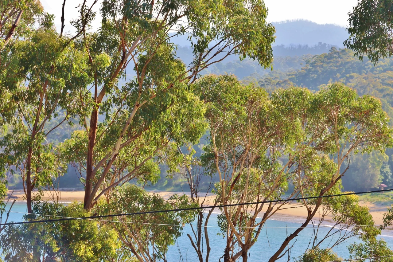 Additional image 10 of 35 Cocora Street, Eden NSW 2551