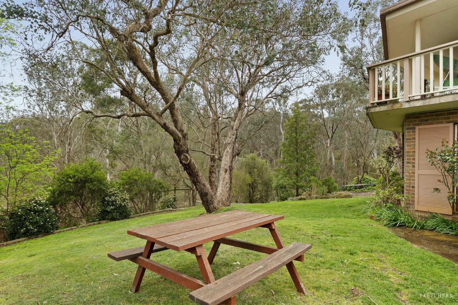 Image 15