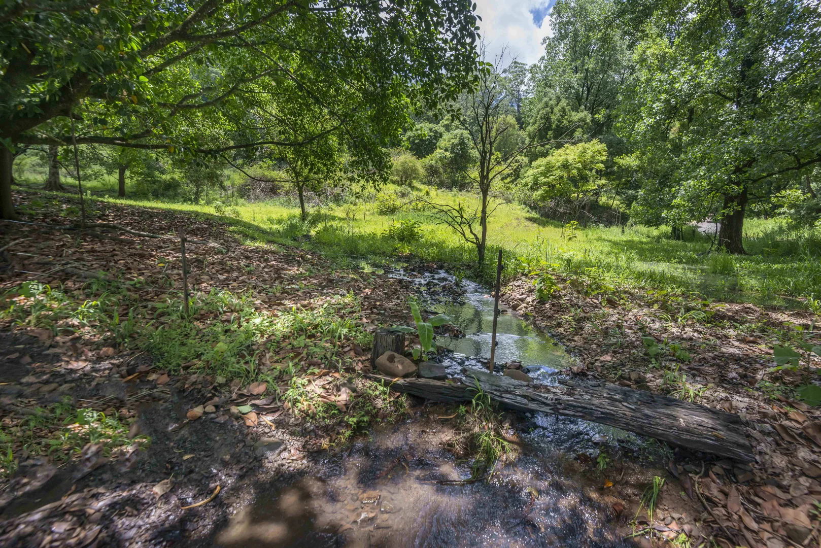 Image 14