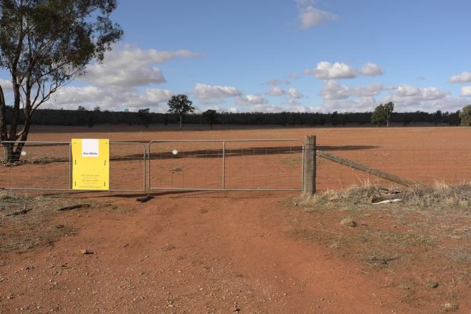 Picture of Barellan Road, NARRANDERA NSW 2700