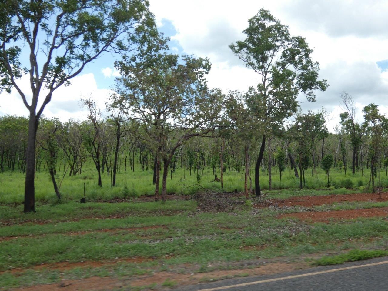 Lot 237 Stuart Highway, Coomalie Creek NT 0822, Image 0