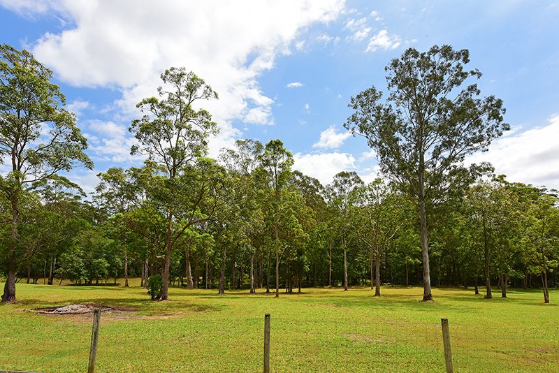 Lot 103 51 Shaws Road, Beerwah QLD 4519, Image 0