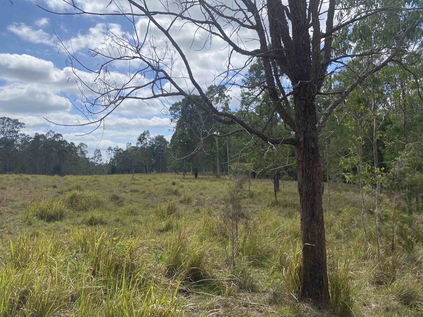 Lot 681/79 Poley House Road, Braunstone NSW 2460 House for Sale