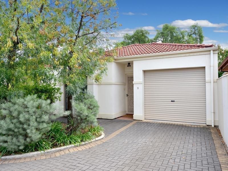2 bedrooms House in 3/4 Bray Avenue KLEMZIG SA, 5087