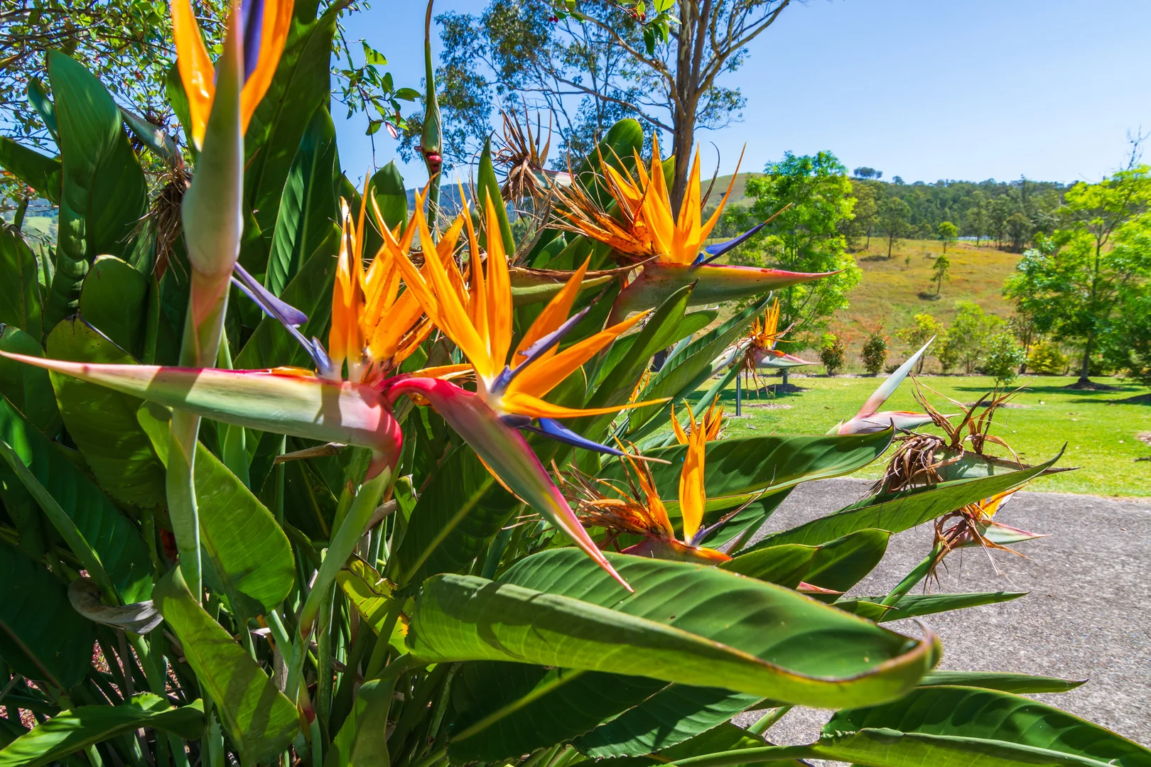 Additional image 34 of 302 Scone Road, Gloucester NSW 2422