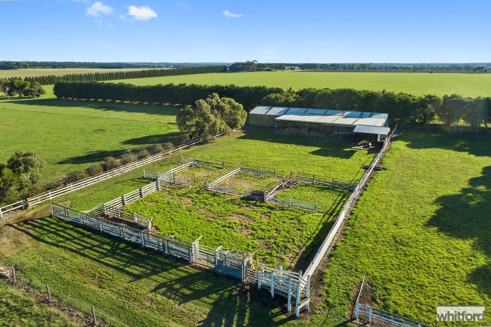 880 Horseshoe Bend Road, Mount Duneed VIC 3217, Image 2