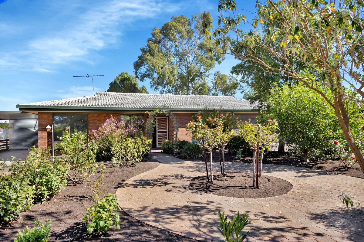 10 First Avenue, Tanunda SA 5352, Image 1