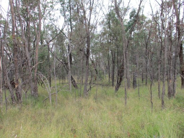 Lot 6 Tara Chinchilla Road, Tara QLD 4421, Image 0