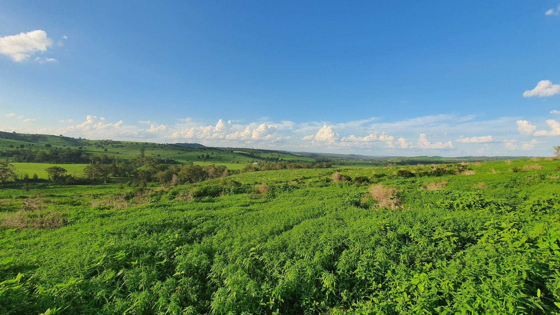 L1 Djuan Road, Haden QLD 4353, Image 1