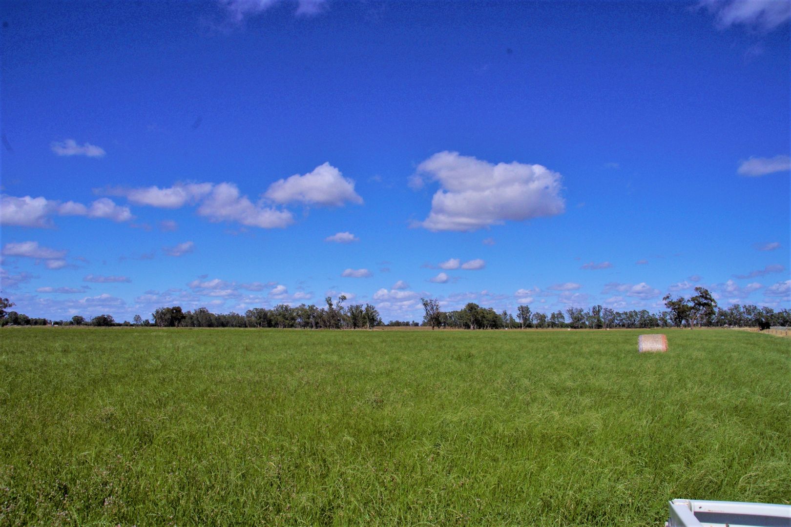 550 Fidge Road, Undera VIC 3629 House for Sale 310,000 Domain