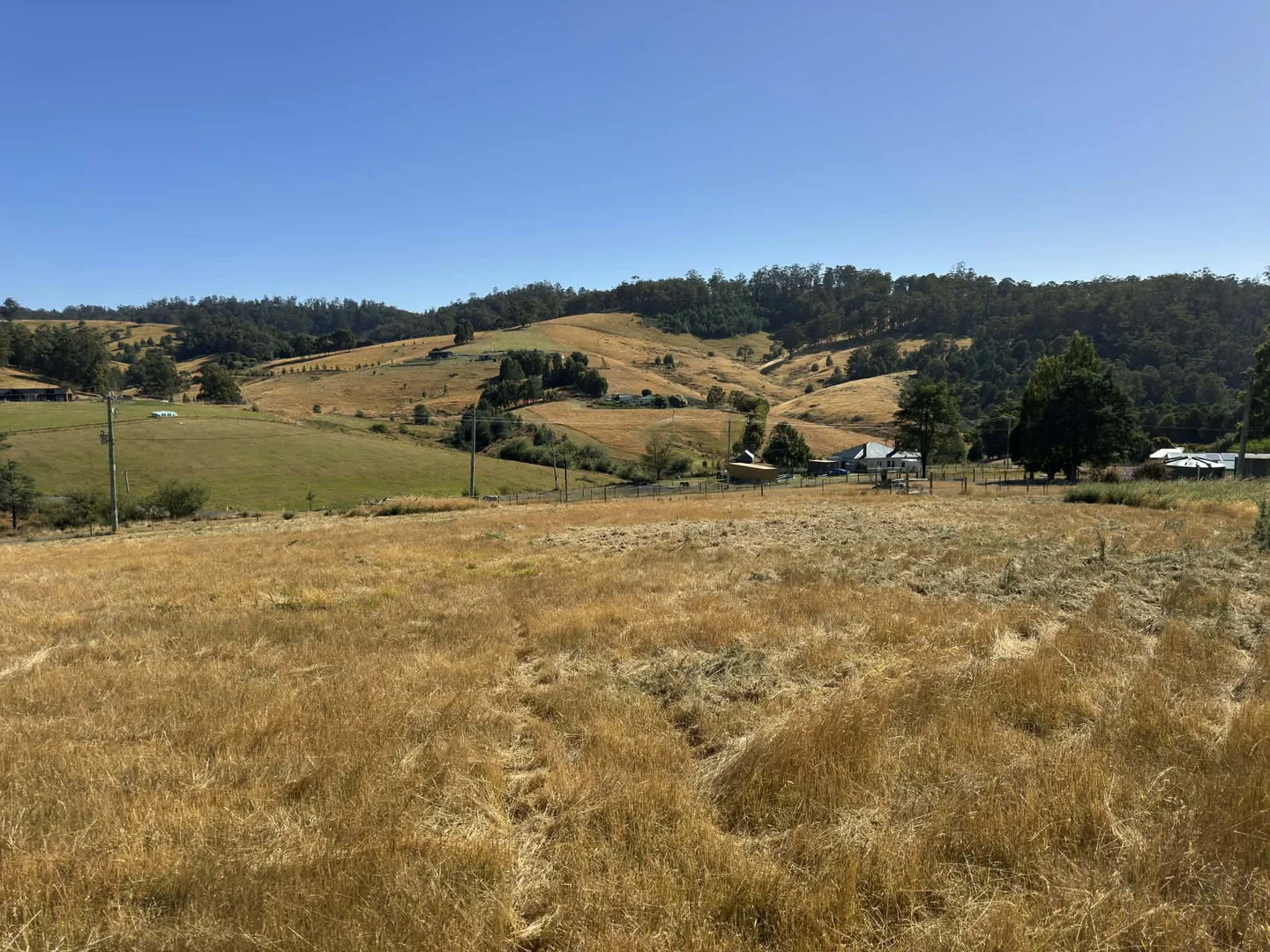Image 14