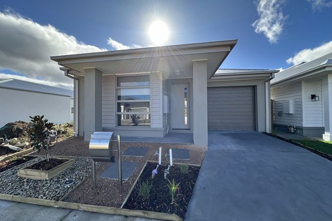 Picture of 11 Aeolus Street, ARMSTRONG CREEK VIC 3217