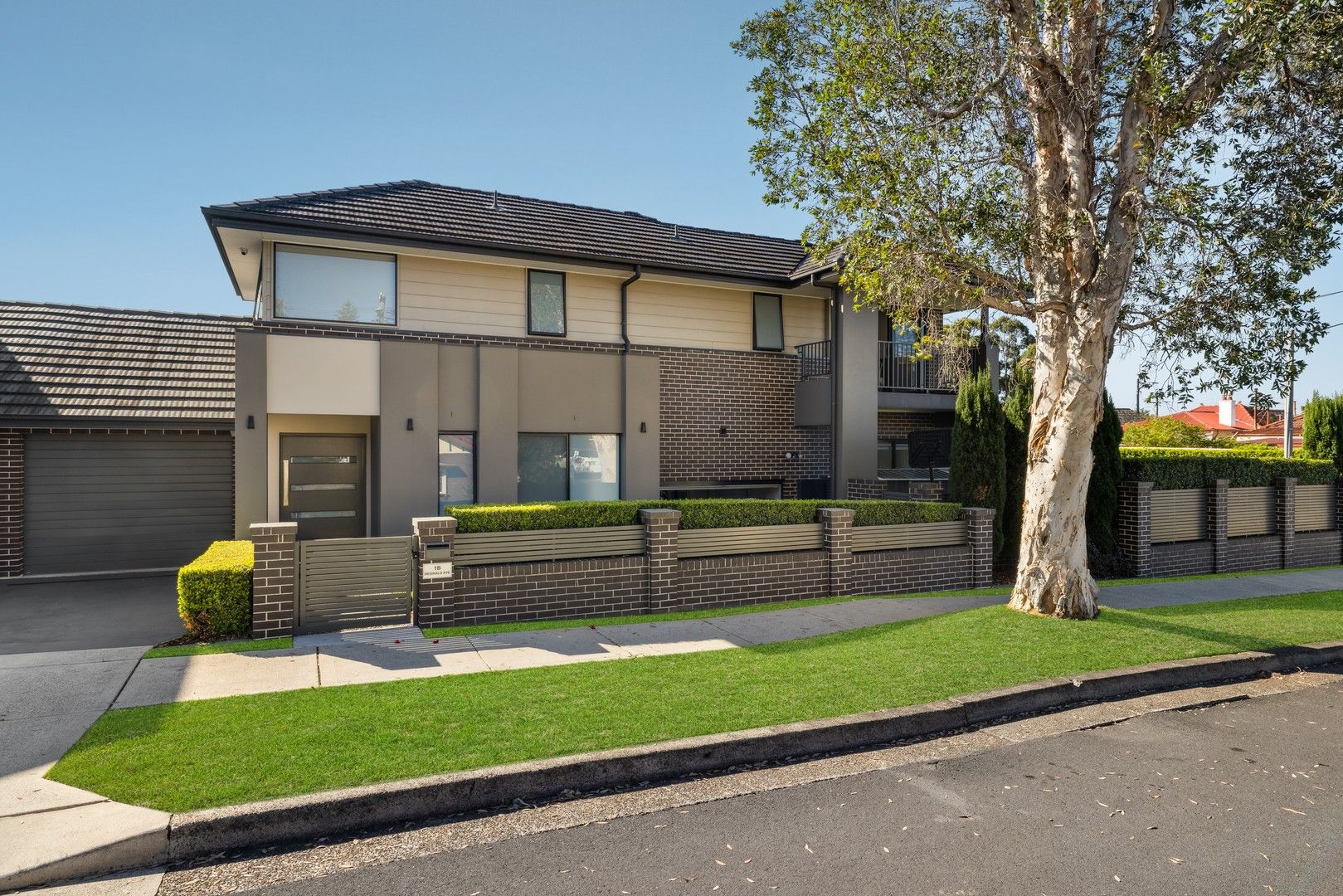 1b Reginald Avenue, Belmore NSW 2192, Image 0