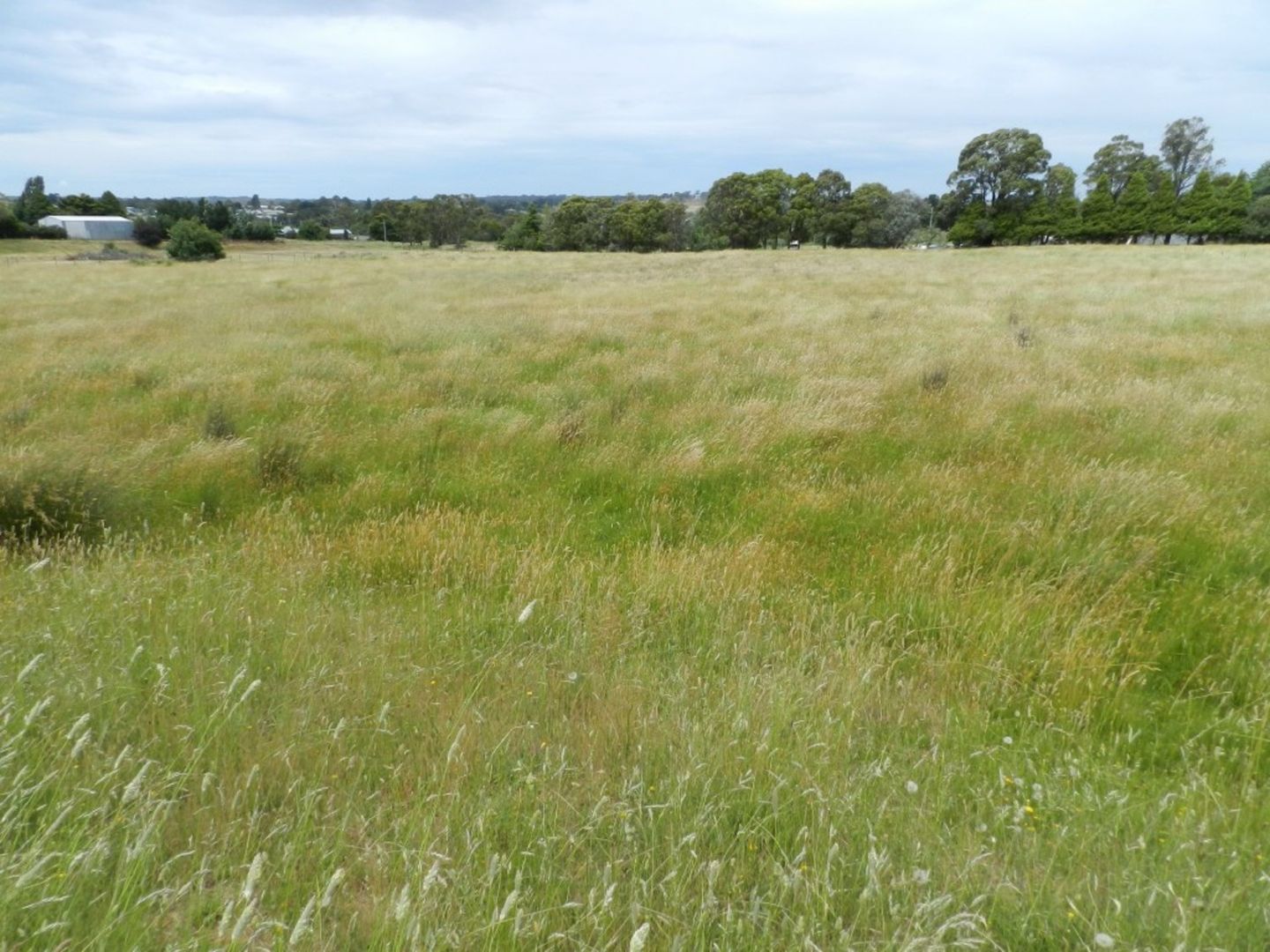 Lot 103 Grabben Gullen Road, Crookwell NSW 2583, Image 2