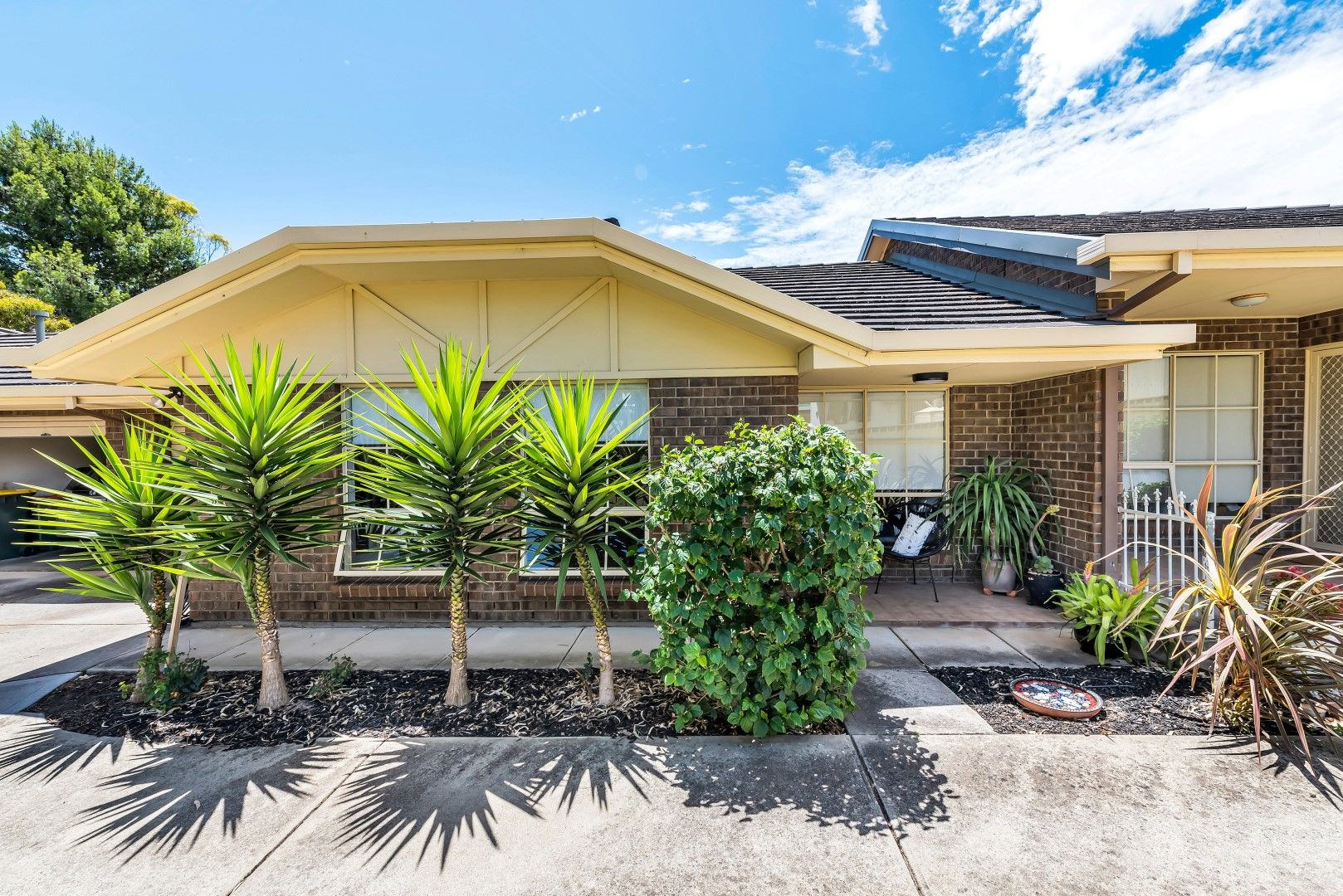 3-8 Gilbertson Road, Seacliff Park SA 5049, Image 0